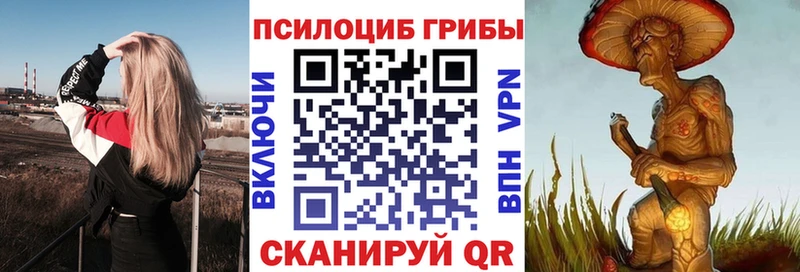 Псилоцибиновые грибы GOLDEN TEACHER  Купить где  Нижний Тагил 